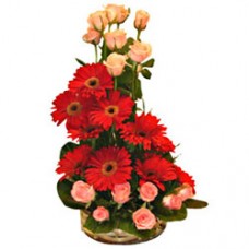 Roses and Gerberas Special 